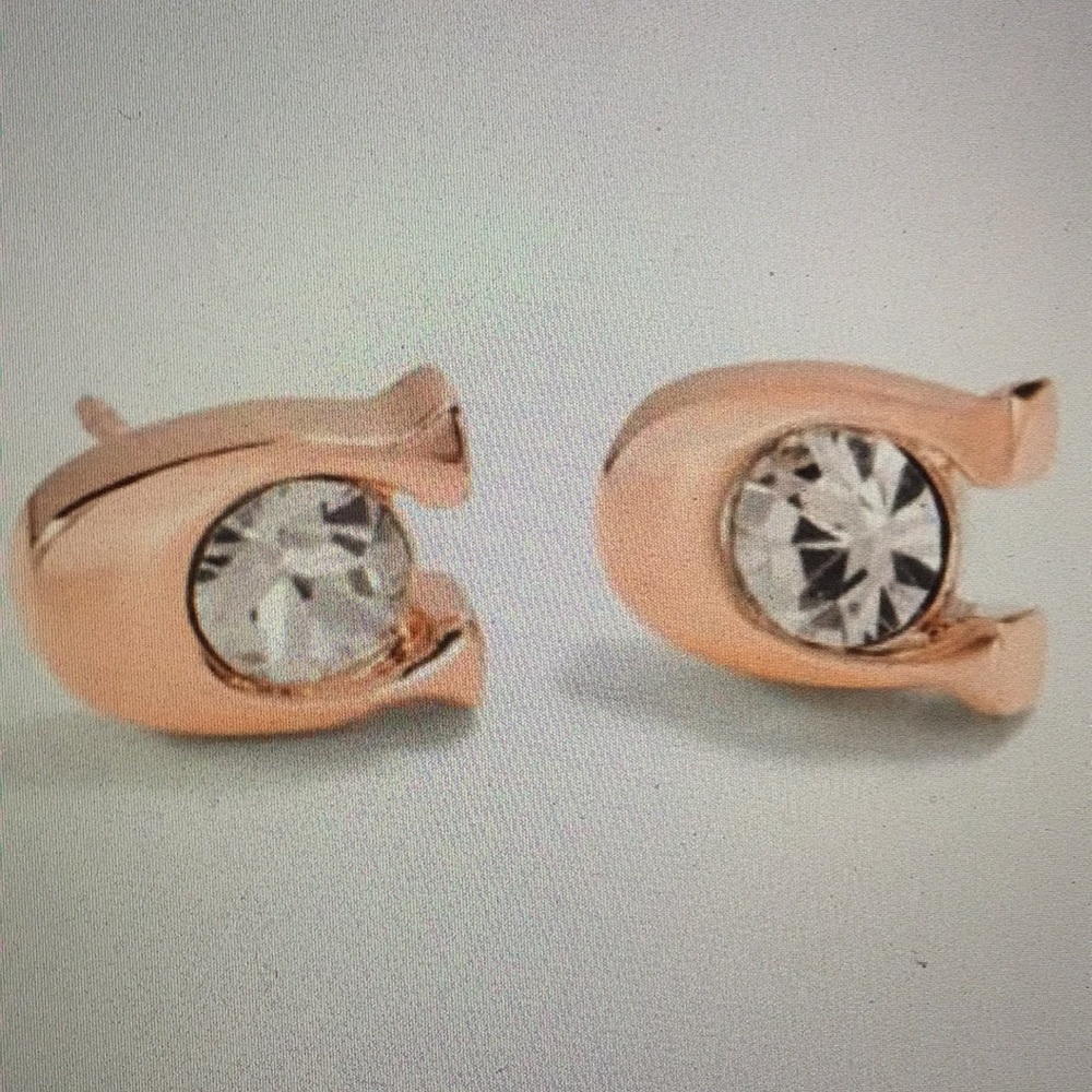COACH - SIGNATURE STONE STUD EARRINGS (NWT) - Picture 2 of 8